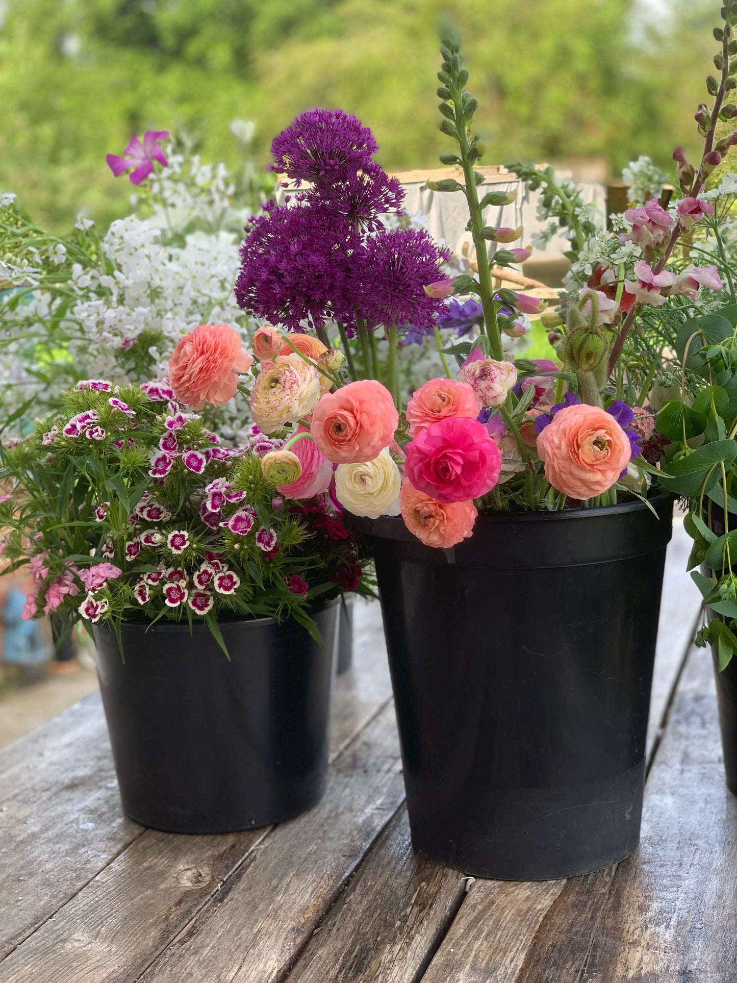 Flower arrangers buckets